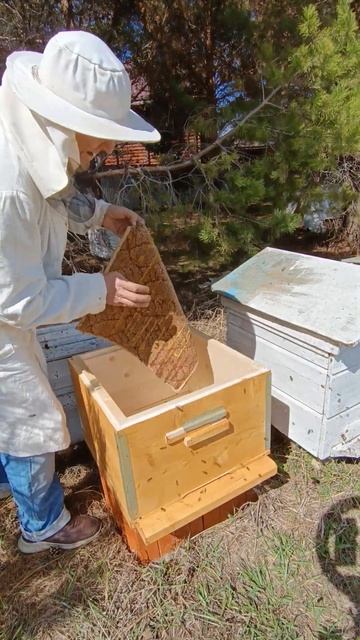 пересадка в новый дом