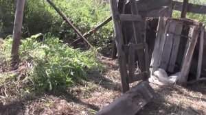 Никита Колесников , забор и осы.  27. 08. 2016. Посёлок Потеряевка. Алтай.