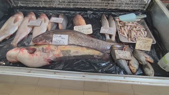 ШОК ОТ ЦЕН 🔥 ПОКУПАЕМ КАРАСЕЙ. Анапа смотреть онлайн