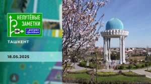 Ташкент. Непутевые заметки. Выпуск от 18.05.2025