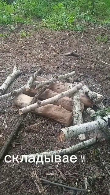 костер колодец #fire #bushcraft #camping #fireforest #forest #survival #dog #бушк? смотреть онлайн