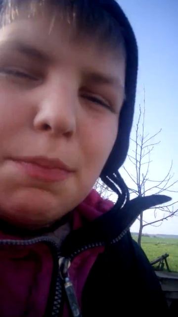 Мотоблока мустанг