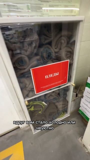 В Леруа можно плед бесплатно взять😱😱😱 что за забот? смотреть онлайн