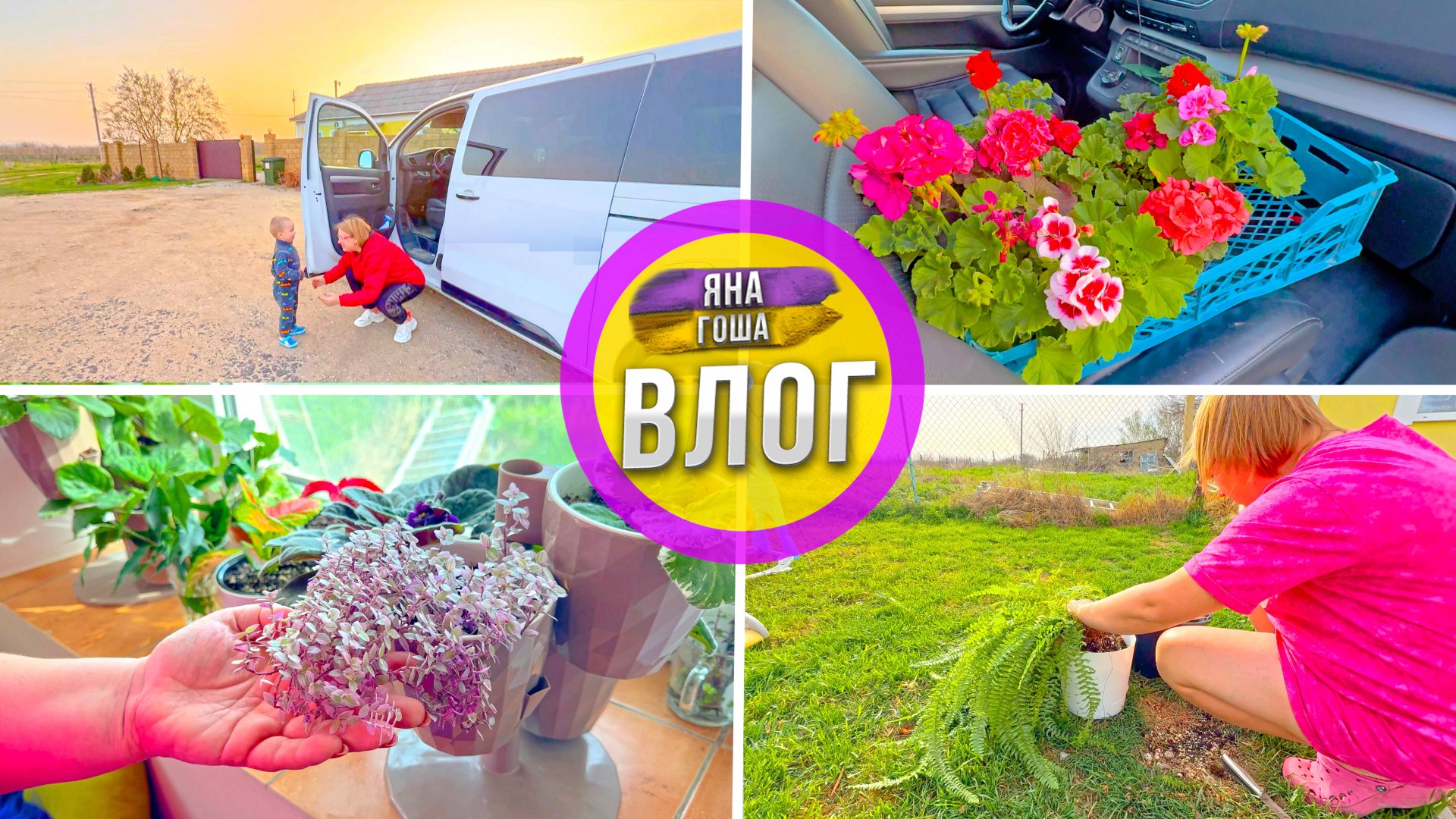 Живем в Крыму! Купила герань - аж 10 штук! Размножаю папортник. Макарошки и пюрешка? Ксилофон. смотреть онлайн