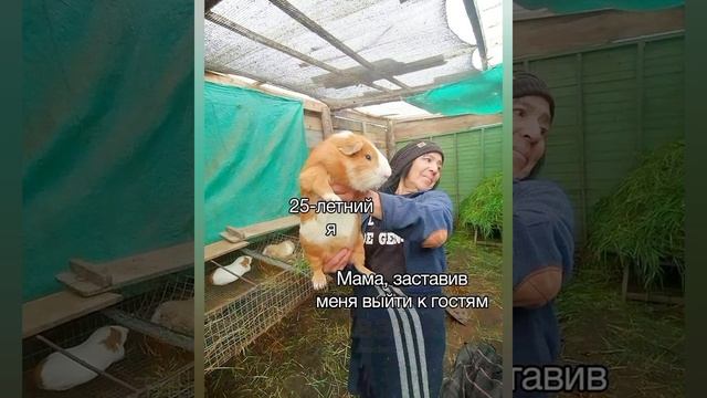 Приколы 😄 мемы 😂 медвекот 🐻😸 тапки манят 😁 #котик? смотреть онлайн