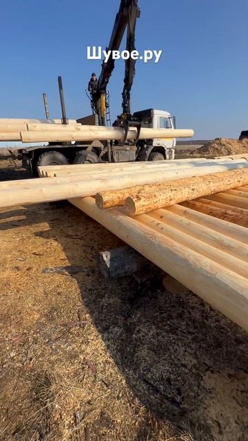 Сруб дома. Отбор бревен для сруба. Подготовка к рубке ? смотреть онлайн