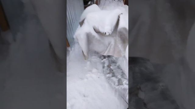 Отогрев снегоуборщика и подготовка его к работе. #дача смотреть онлайн