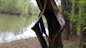 Рыбалка на маленькой реке в чертах Города НСК 2025г. Поехал на рыбалку, а попал на войну 😁