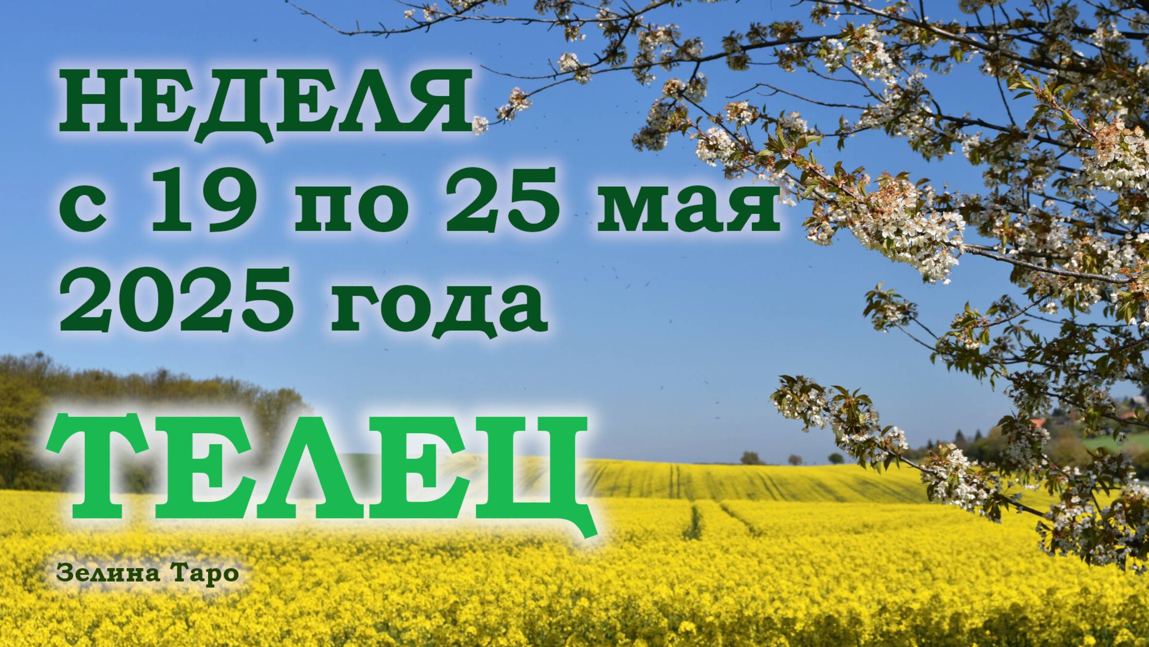 ТЕЛЕЦ | ТАРО прогноз на неделю с 19 по 25 мая 2025 года