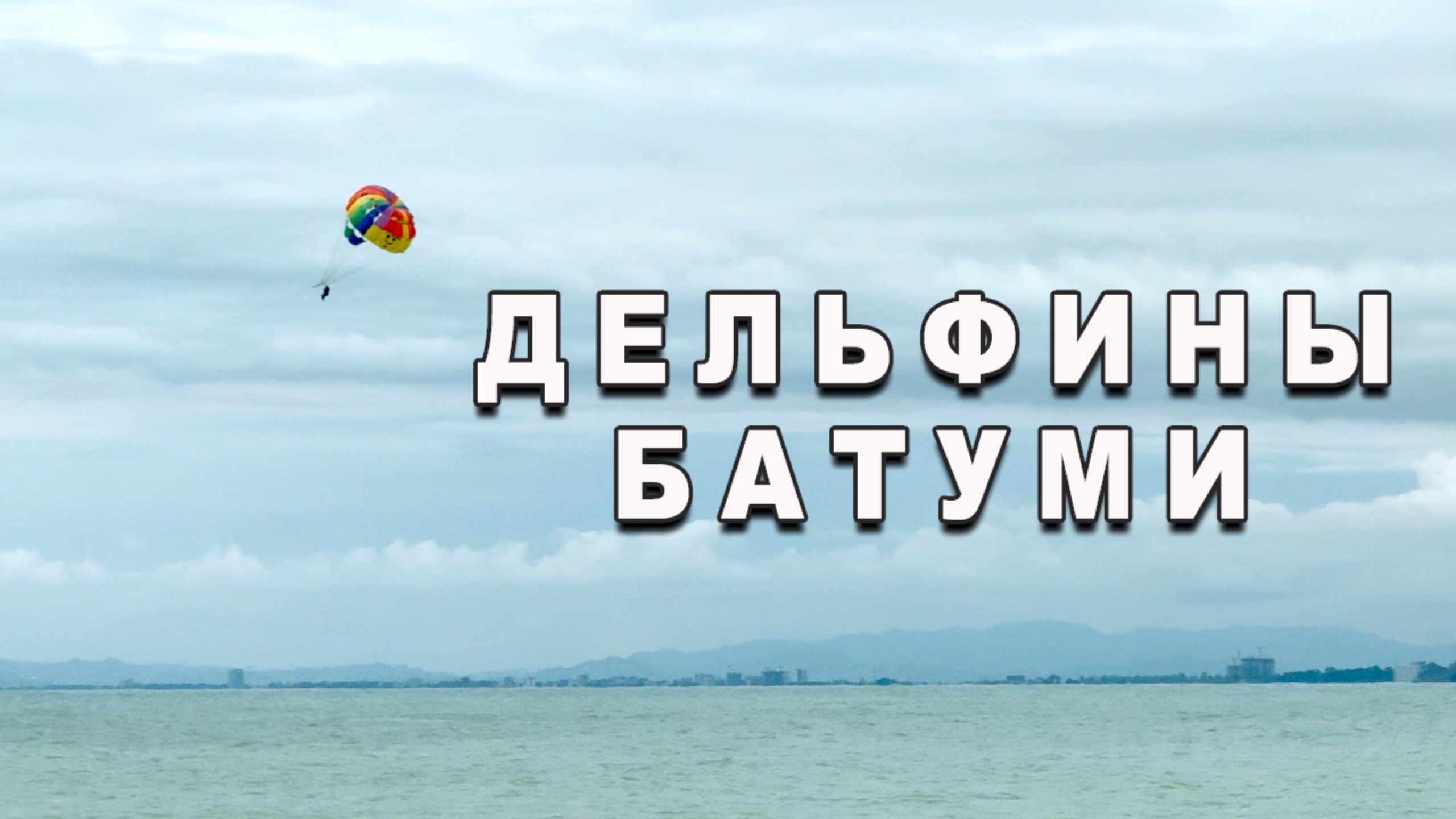 Дельфины Батуми 🐬 Грузия смотреть онлайн