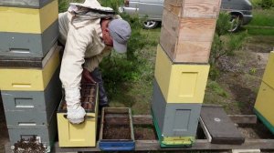 шестирамочный улей с гнездом на 145 рамкую перевод с 300ю часть 3