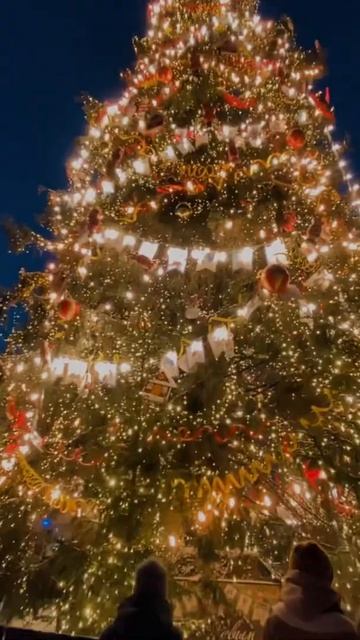 С наступающим Новым годом! #shorts #2022 смотреть онлайн