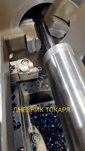 эксцентрик дневниктокаря