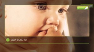 Телекомпания "СТРИМ" [2015]