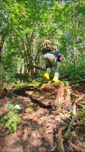 Красивая проходка не удалась🤣🫣 #лес #калининград #surv