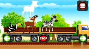 Новое Видео: Машинки и Животные - Не пропусти!