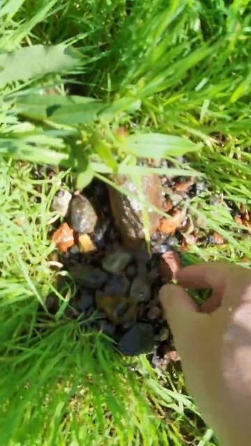 Есть находка!!!🔥 Простая, но нам не привыкать)) 😎 #мета смотреть онлайн