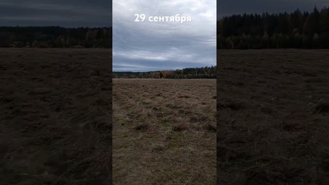 29 сентября погода только начала давать косить 😱😱 смотреть онлайн