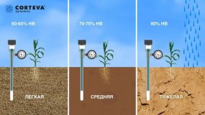 Требования к влогообеспеченности. Полив и орошение кукурузы