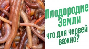 Признаки плодородия почвы.