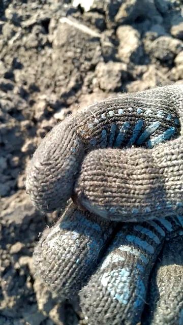 Пошук з металошукачем Minelab E-Trac: Денарій Коммод смотреть онлайн