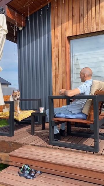 Стаффорд жалуется #shortvideo #собака #staff #стаффорд #прикол #юмор #стаффордширскийтерьер смотреть онлайн