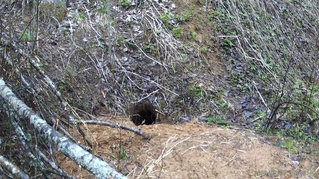 07.05.2025, генеральная уборка, видео А.Большакова