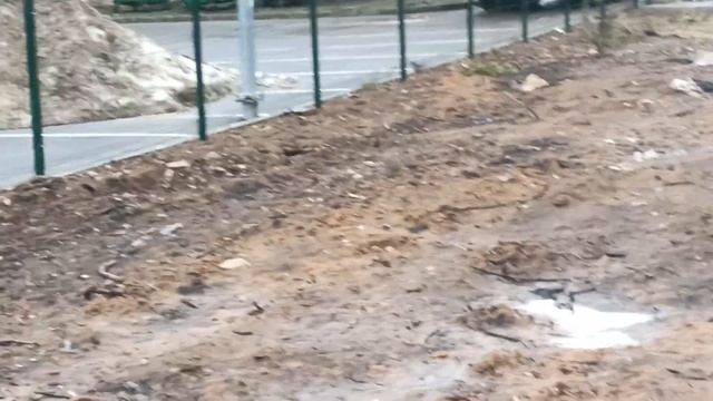 Вывоз мусора на Пионерской улице 18Д(18.01.2025) смотреть онлайн