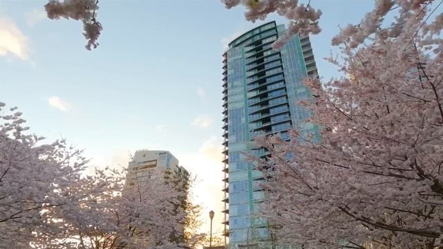 После ухода свекрови, невестка обнаружила в кармане с? смотреть онлайн