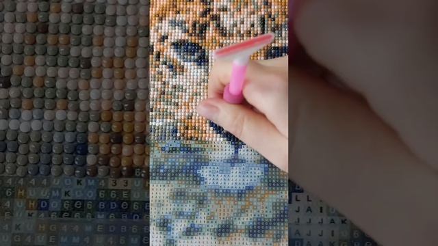 Песни про Леопард. Алмазная мозаика Леопард