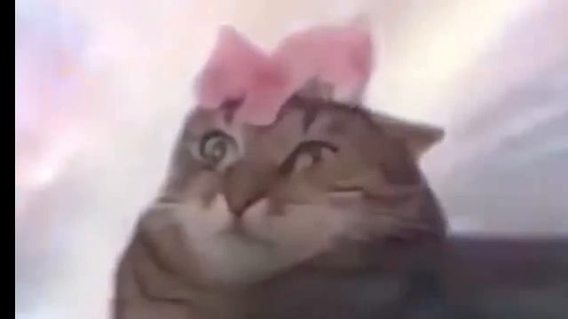 Млс Кел  Заметь🙏🏽🙏🏽