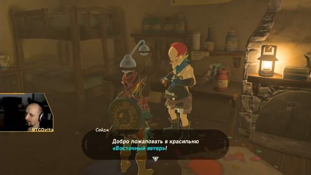 Стрим - The Legend Of Zelda: Breath Of The Wild #17