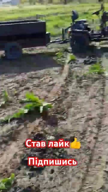 #мінітрактор #саморобний #4x4 #прицеп #город #гній#мотобл смотреть онлайн