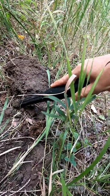 Осенний коп, проверяем сигнал металлоискателя, с лабр? смотреть онлайн