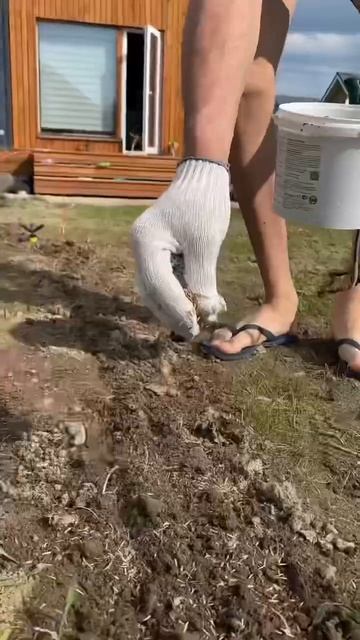 Посмотри, они сами засеяли газон и что получилось #shortvideo #газон #сад #дача #жизньвдоме #садовод смотреть онлайн