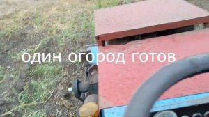 мульчер, скашивание ботвы картофеля