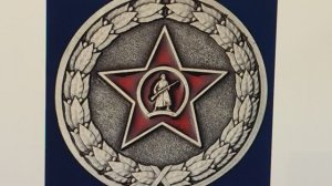 Сколько выплат положено за медаль "Участнику специальной военной операции"