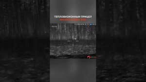 На какой линзе выбрать тепловизор? На 35 или 50? Тепловиз