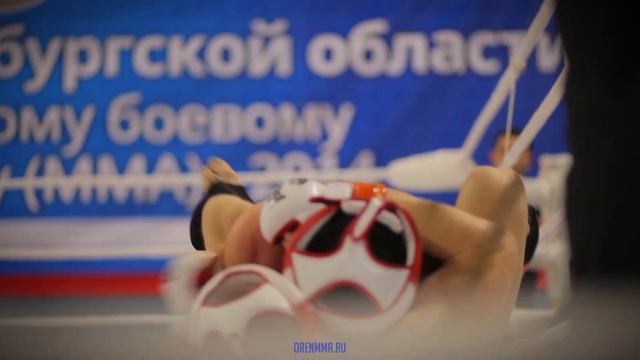 Чемпионат по ММА 2014 - Весовая категория до 93 кг.