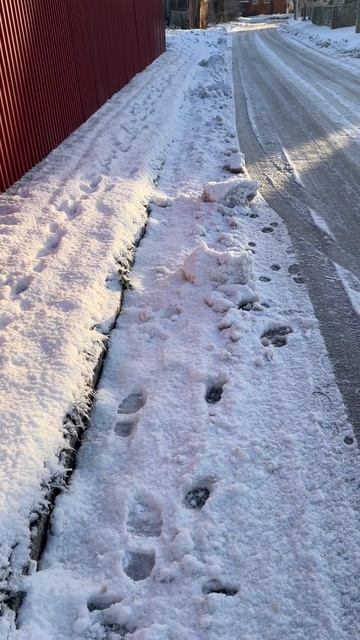 Часть 1: Вот так прошла снегоуборочная техника…😨 Ост?