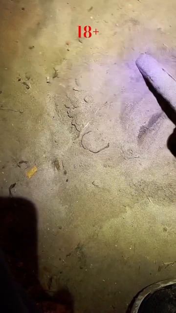 Tx-850 в ділі. Срібне кольцо на TIANXUN TX-850 смотреть онлайн