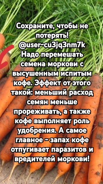 Сохраните, чтобы не потерять!Надо перемешать семена м? смотреть онлайн