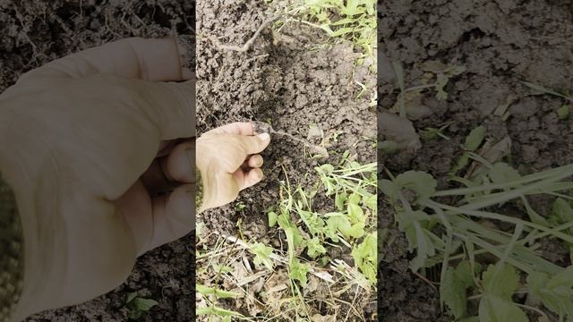 старинный серебряный перстень смотреть онлайн