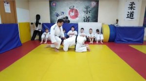Техника приёмов на 3 КЮ Дзюдо