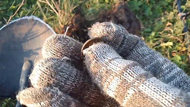 Поиск 2024 г. С Quest x5 смотреть онлайн