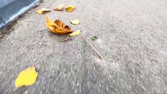 Ульяна 💥 роликовые коньки & лонгборд смотреть онлайн