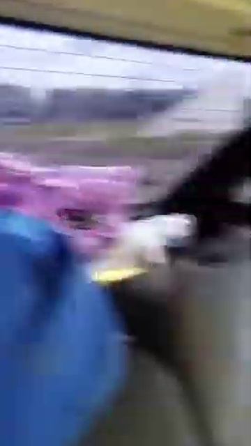 Так выглядит прицеп 2110 за мотоблок внутри)))) смотреть онлайн