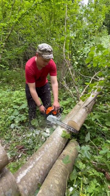 STIHL - MS 180 обкатка в лісі смотреть онлайн
