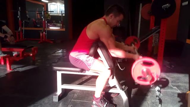 Сгибания рук со штангой на скамье Скотта