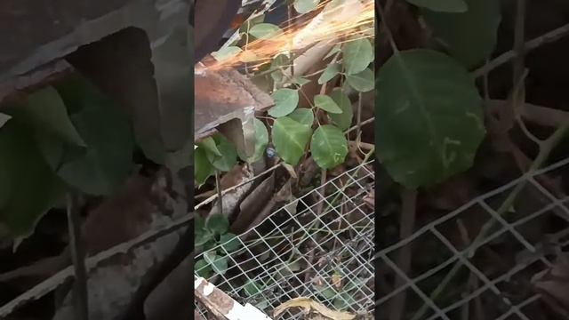 Режим швеллер смотреть онлайн